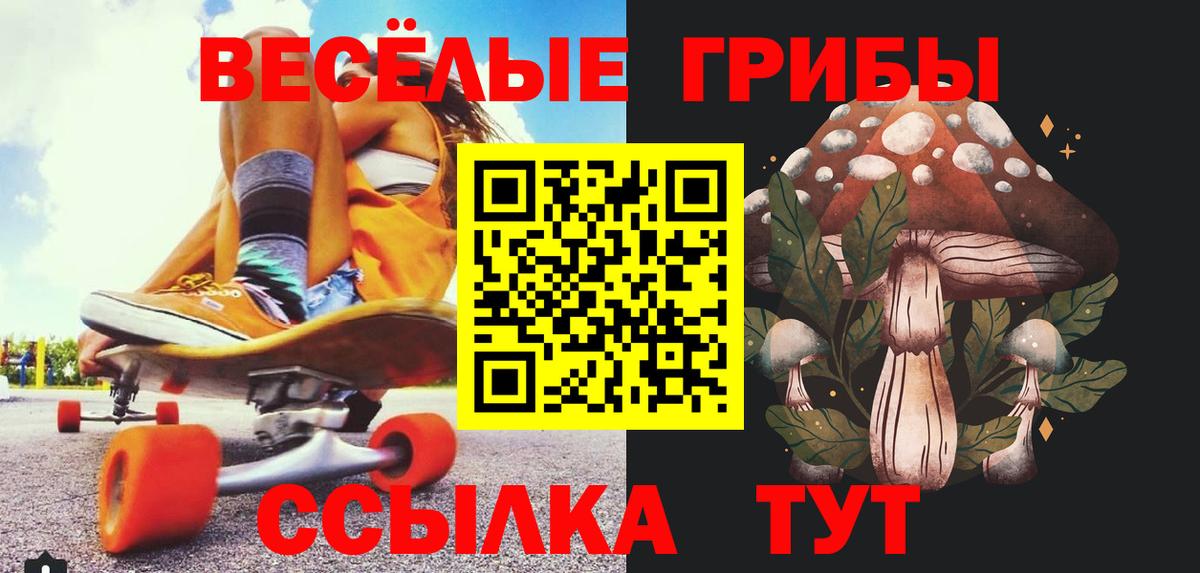 Канаш  где можно купить   Вход с VPN  Галлюциногенные грибы ЛСД 