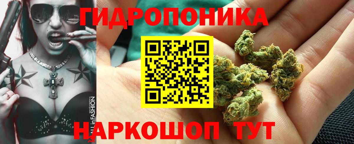 Бошки марихуана MAZAR  Вход с VPN  Конопля THC 21%  Конопля сатива  Марихуана OG Kush  Канаш 
